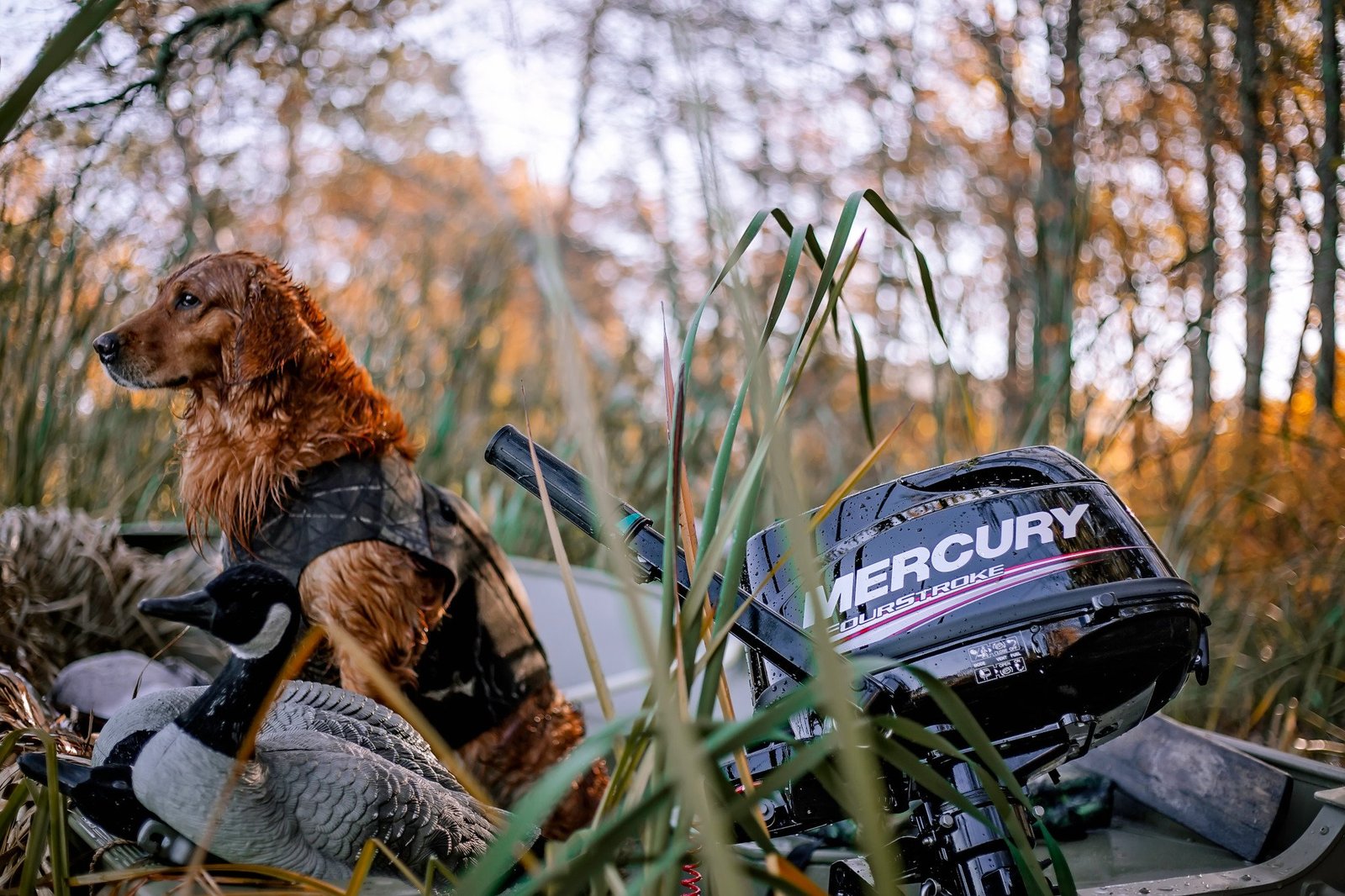 Mercury Outboard Motor 2 Stroke Range - 4HP MH FourStroke $1250 - Image 8